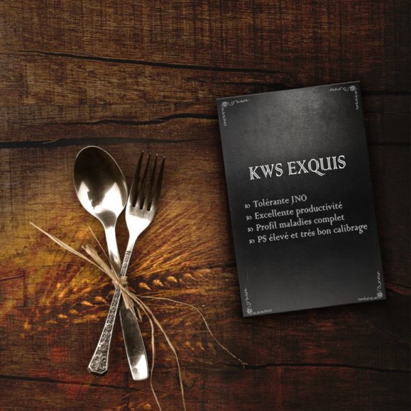 EXQUIS