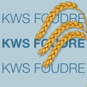 FOUDRE