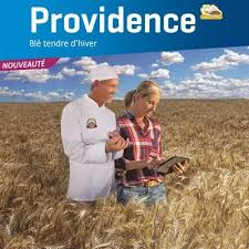 Providence